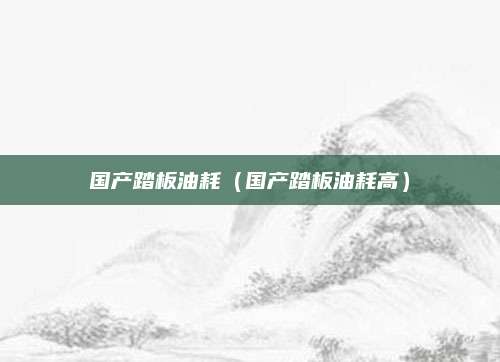 国产踏板油耗(国产踏板油耗高)