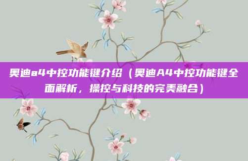 奥迪a4中控功能键介绍(奥迪A4中控功能键全面解析,操控与科技的完美融合)