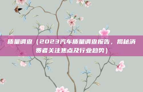 质量调查（2023汽车质量调查报告，揭秘消费者关注焦点及行业趋势）