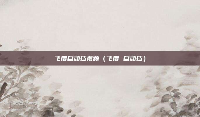飞度自动挡视频(飞度 自动挡)