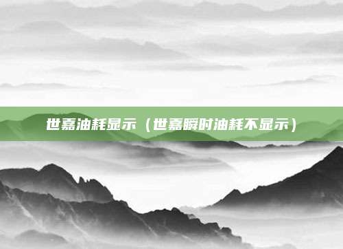 世嘉油耗显示(世嘉瞬时油耗不显示)
