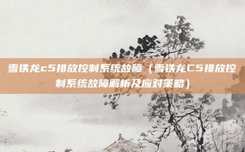 雪铁龙c5排放控制系统故障（雪铁龙C5排放控制系统故障解析及应对策略）