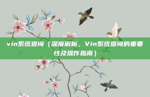vin系统查询（深度解析，Vin系统查询的重要性及操作指南）