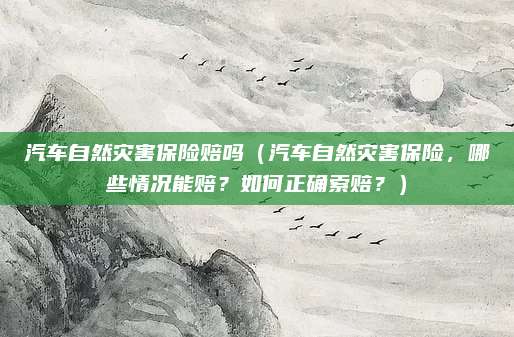 汽车自然灾害保险赔吗（汽车自然灾害保险，哪些情况能赔？如何正确索赔？）