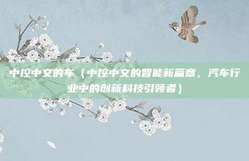 中控中文的车（中控中文的智能新篇章，汽车行业中的创新科技引领者）