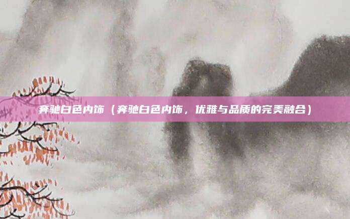 奔驰白色内饰（奔驰白色内饰，优雅与品质的完美融合）