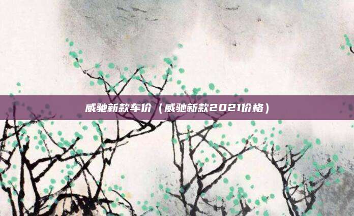 威驰新款车价（威驰新款2021价格）