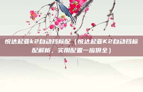 悦达起亚k2自动挡标配(悦达起亚K2自动挡标配解析,实用配置一应俱全)