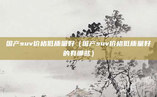 国产suv价格低质量好(国产suv价格低质量好的有哪些)