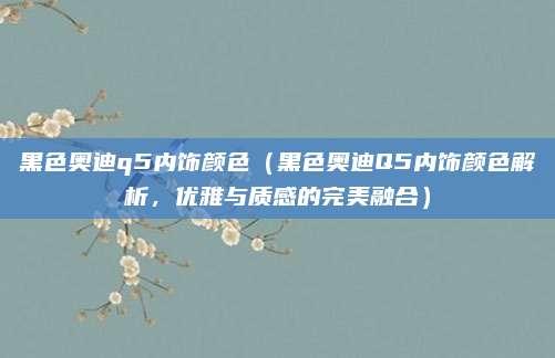 黑色奥迪q5内饰颜色（黑色奥迪Q5内饰颜色解析，优雅与质感的完美融合）