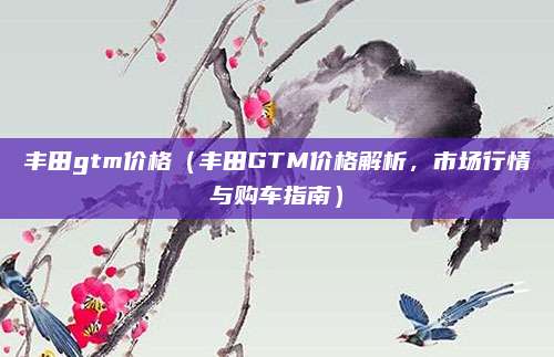 丰田gtm价格(丰田GTM价格解析,市场行情与购车指南)