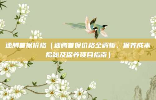 速腾首保价格（速腾首保价格全解析，保养成本揭秘及保养项目指南）