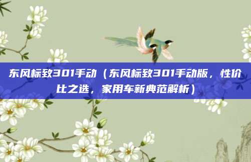 东风标致301手动（东风标致301手动版，性价比之选，家用车新典范解析）
