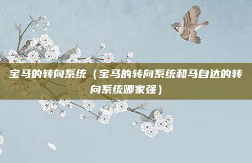 宝马的转向系统(宝马的转向系统和马自达的转向系统哪家强)
