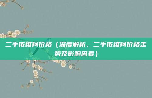 二手依维柯价格（深度解析，二手依维柯价格走势及影响因素）