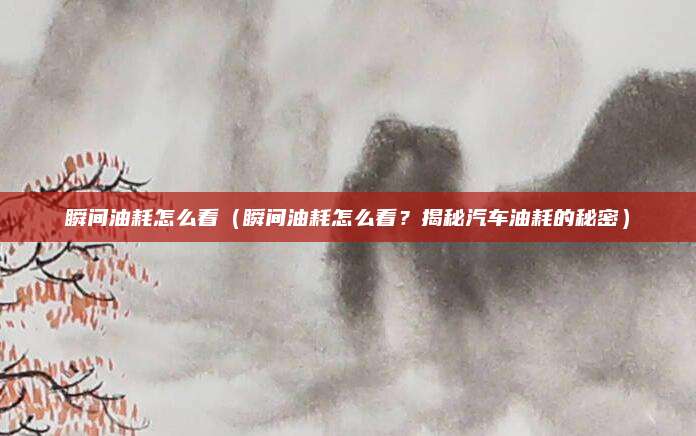 瞬间油耗怎么看(瞬间油耗怎么看?揭秘汽车油耗的秘密)
