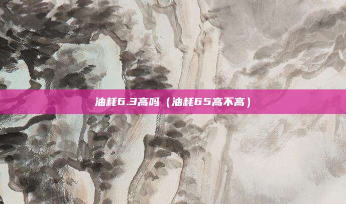 油耗6.3高吗(油耗65高不高)