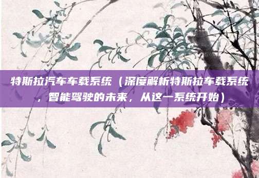 特斯拉汽车车载系统（深度解析特斯拉车载系统，智能驾驶的未来，从这一系统开始）