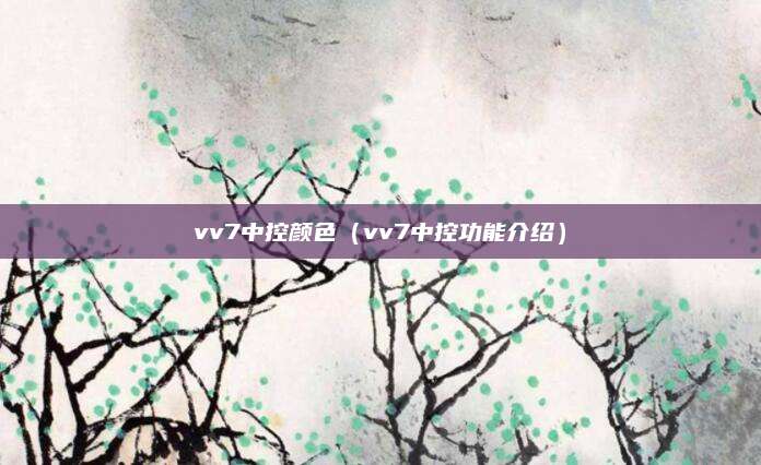 vv7中控颜色(vv7中控功能介绍)