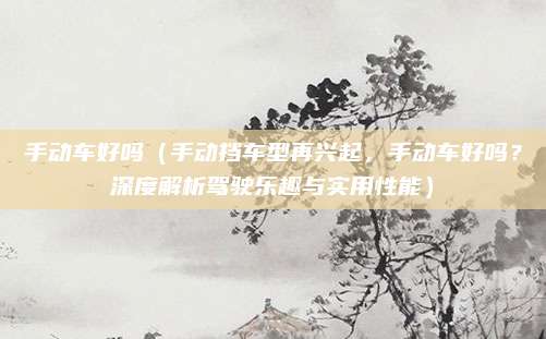 手动车好吗（手动挡车型再兴起，手动车好吗？深度解析驾驶乐趣与实用性能）