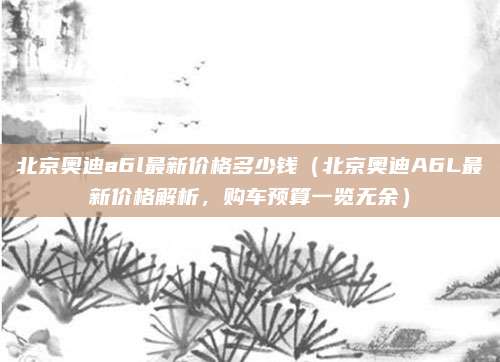 北京奥迪a6l最新价格多少钱（北京奥迪A6L最新价格解析，购车预算一览无余）