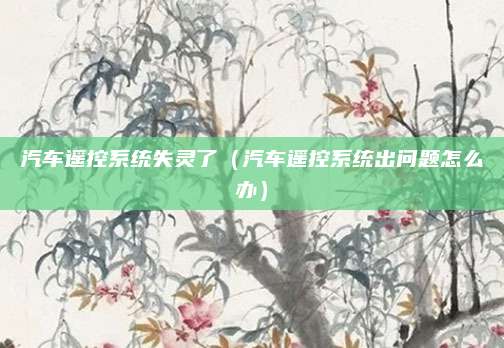 汽车遥控系统失灵了（汽车遥控系统出问题怎么办）