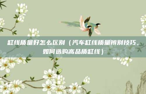 缸线质量好怎么区别（汽车缸线质量辨别技巧，如何选购高品质缸线）