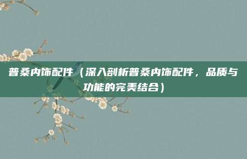 普桑内饰配件(深入剖析普桑内饰配件,品质与功能的完美结合)