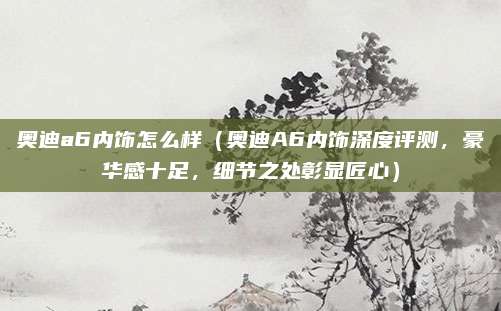 奥迪a6内饰怎么样(奥迪A6内饰深度评测,豪华感十足,细节之处彰显匠心)
