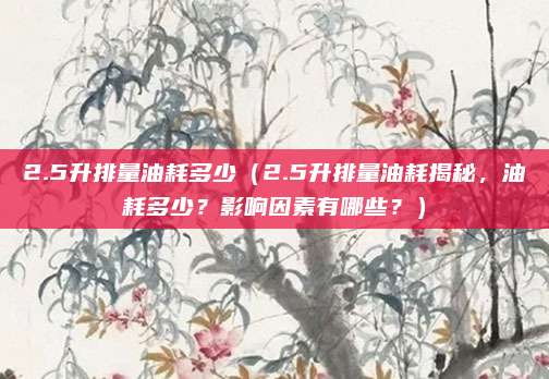 2.5升排量油耗多少(2.5升排量油耗揭秘,油耗多少?影响因素有哪些?)