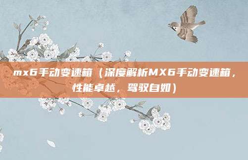 mx6手动变速箱（深度解析MX6手动变速箱，性能卓越，驾驭自如）