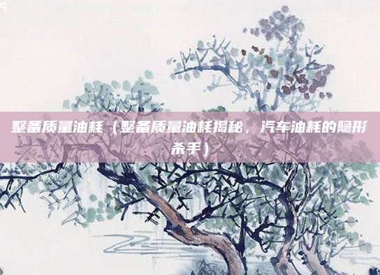 整备质量油耗(整备质量油耗揭秘,汽车油耗的隐形杀手)