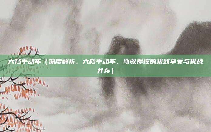 六档手动车(深度解析,六档手动车,驾驭操控的极致享受与挑战并存)