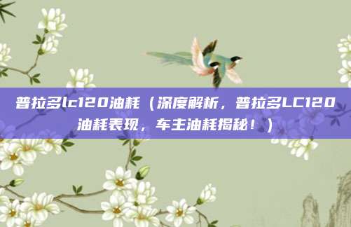 普拉多lc120油耗(深度解析,普拉多LC120油耗表现,车主油耗揭秘!)