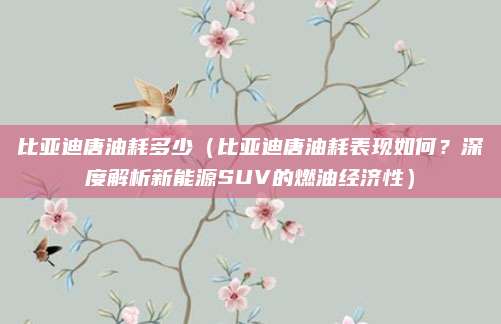 比亚迪唐油耗多少(比亚迪唐油耗表现如何?深度解析新能源SUV的燃油经济性)