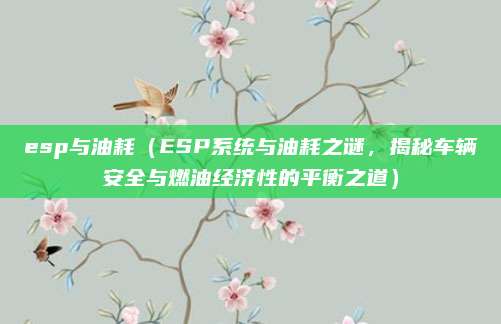 esp与油耗(ESP系统与油耗之谜,揭秘车辆安全与燃油经济性的平衡之道)