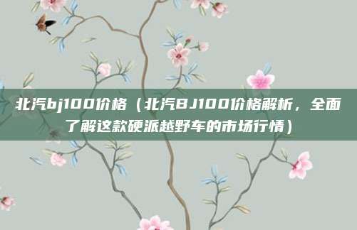 北汽bj100价格(北汽BJ100价格解析,全面了解这款硬派越野车的市场行情)
