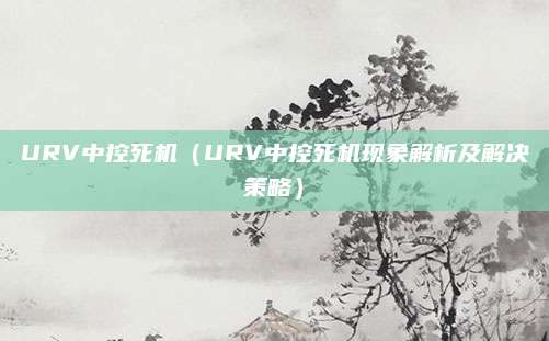 URV中控死机（URV中控死机现象解析及解决策略）