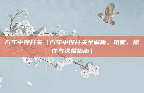 汽车中控开关（汽车中控开关全解析，功能、操作与选择指南）