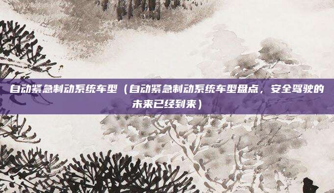 自动紧急制动系统车型（自动紧急制动系统车型盘点，安全驾驶的未来已经到来）