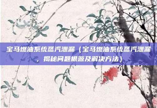宝马燃油系统蒸汽泄漏(宝马燃油系统蒸汽泄漏,揭秘问题根源及解决方法)