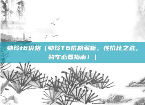 帅玲t6价格（帅玲T6价格解析，性价比之选，购车必看指南！）