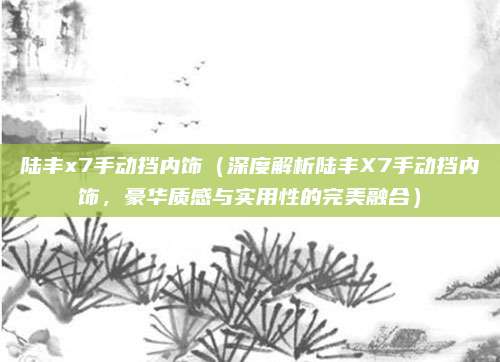 陆丰x7手动挡内饰(深度解析陆丰X7手动挡内饰,豪华质感与实用性的完美融合)