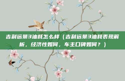 吉利远景3油耗怎么样(吉利远景3油耗表现解析,经济性如何,车主口碑如何?)