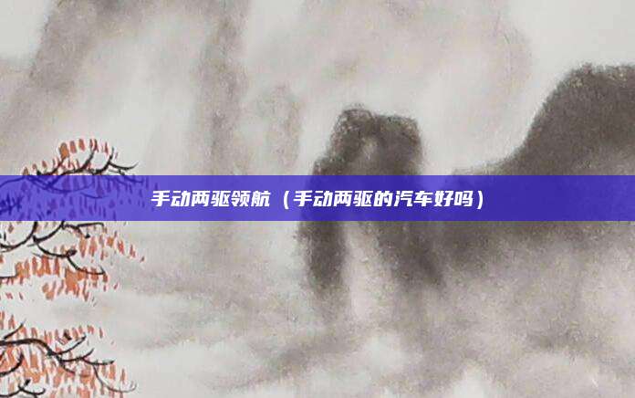 手动两驱领航（手动两驱的汽车好吗）