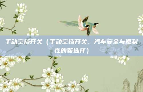 手动空挡开关(手动空挡开关,汽车安全与便利性的新选择)