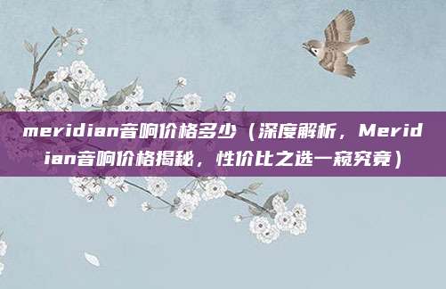 meridian音响价格多少(深度解析,Meridian音响价格揭秘,性价比之选一窥究竟)