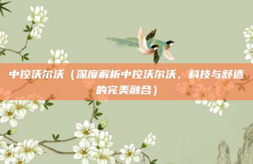 中控沃尔沃(深度解析中控沃尔沃,科技与舒适的完美融合)