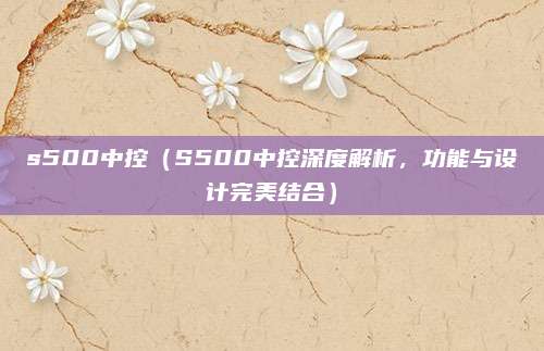 s500中控(S500中控深度解析,功能与设计完美结合)