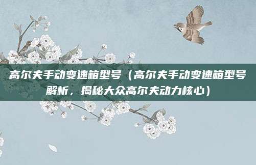 高尔夫手动变速箱型号（高尔夫手动变速箱型号解析，揭秘大众高尔夫动力核心）